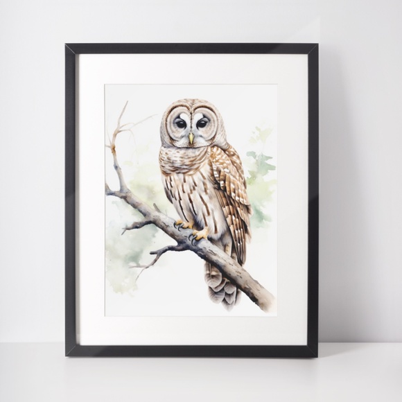 Watercolor Barred Owl Portrait Wall Art Illustration Print Poster Unframed - Picture 3 of 7